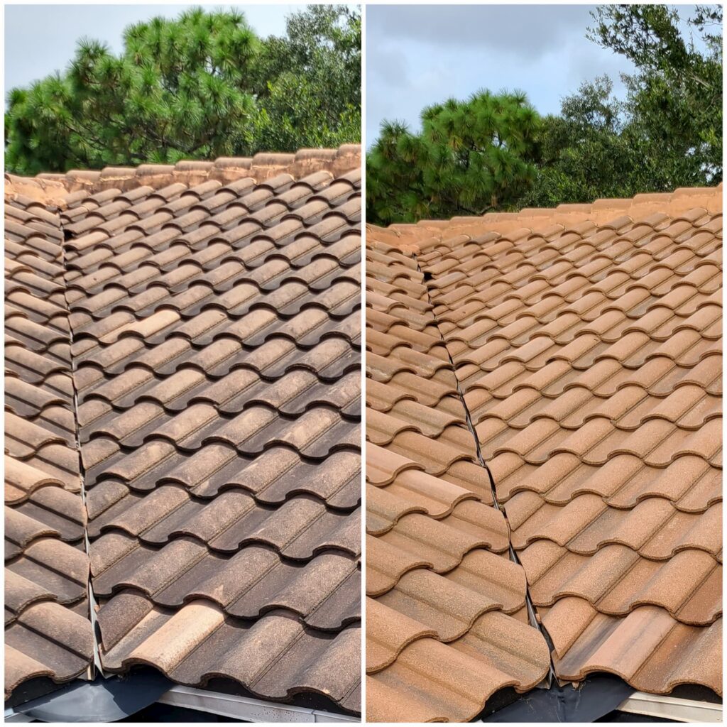 tile roof cleaning
